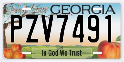 GA license plate PZV7491
