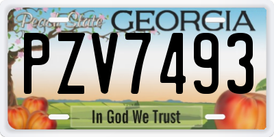 GA license plate PZV7493