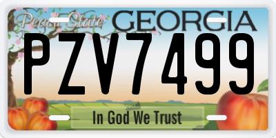 GA license plate PZV7499