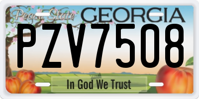 GA license plate PZV7508