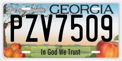 GA license plate PZV7509