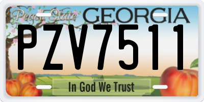 GA license plate PZV7511