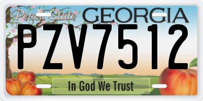 GA license plate PZV7512