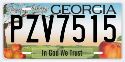 GA license plate PZV7515
