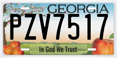GA license plate PZV7517