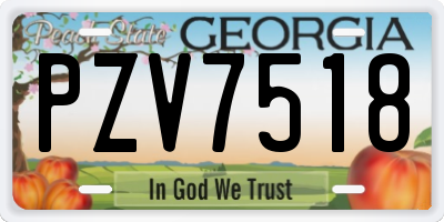 GA license plate PZV7518