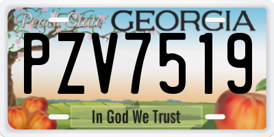 GA license plate PZV7519