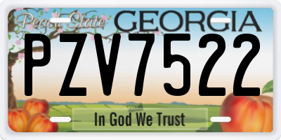 GA license plate PZV7522
