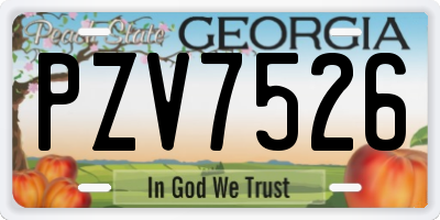 GA license plate PZV7526