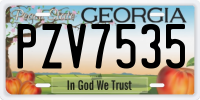 GA license plate PZV7535