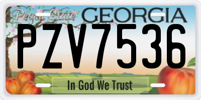GA license plate PZV7536