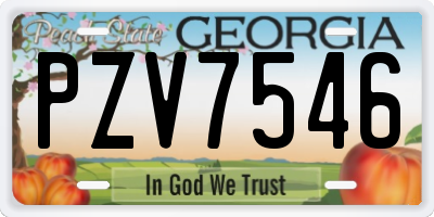 GA license plate PZV7546