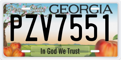 GA license plate PZV7551