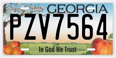 GA license plate PZV7564