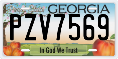 GA license plate PZV7569