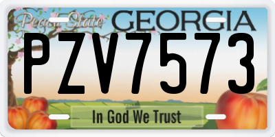 GA license plate PZV7573