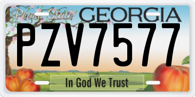 GA license plate PZV7577