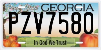 GA license plate PZV7580