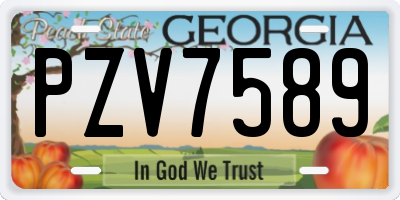 GA license plate PZV7589