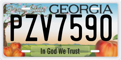 GA license plate PZV7590