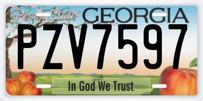 GA license plate PZV7597