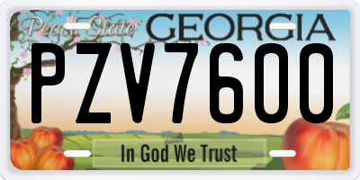 GA license plate PZV7600