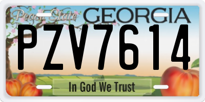 GA license plate PZV7614