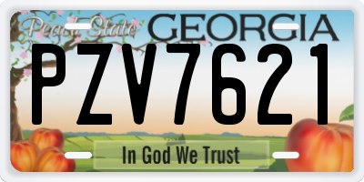 GA license plate PZV7621