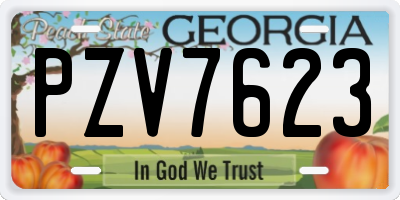 GA license plate PZV7623