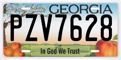 GA license plate PZV7628