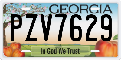 GA license plate PZV7629