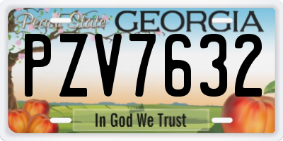 GA license plate PZV7632