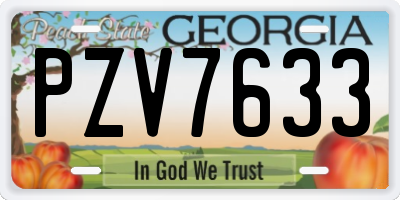 GA license plate PZV7633