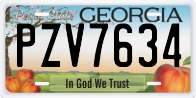 GA license plate PZV7634