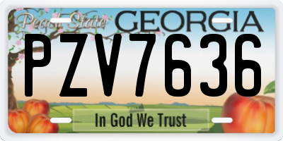 GA license plate PZV7636