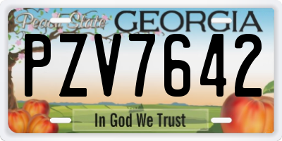 GA license plate PZV7642