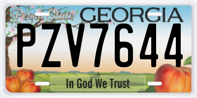 GA license plate PZV7644