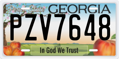 GA license plate PZV7648
