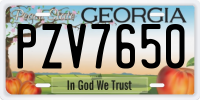 GA license plate PZV7650