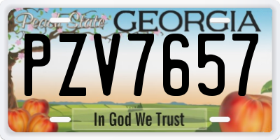 GA license plate PZV7657