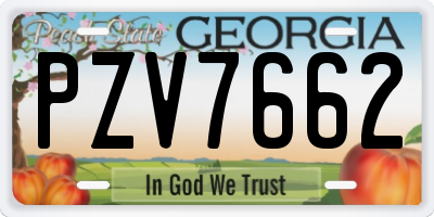GA license plate PZV7662