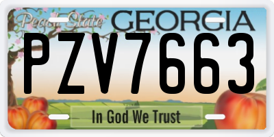 GA license plate PZV7663