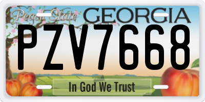 GA license plate PZV7668