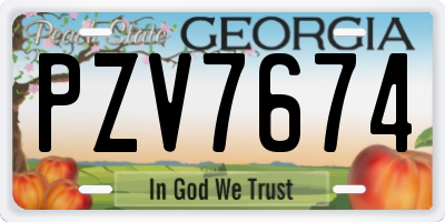 GA license plate PZV7674