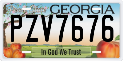 GA license plate PZV7676
