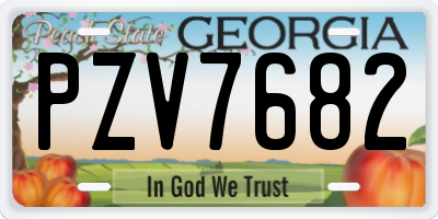 GA license plate PZV7682