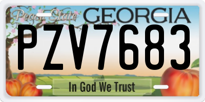 GA license plate PZV7683