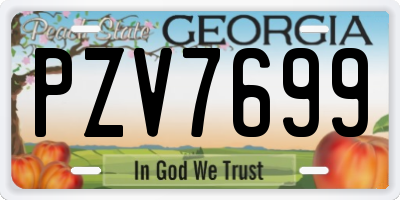 GA license plate PZV7699