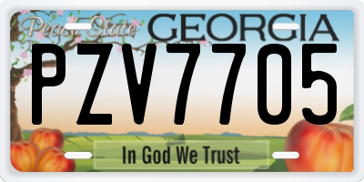 GA license plate PZV7705