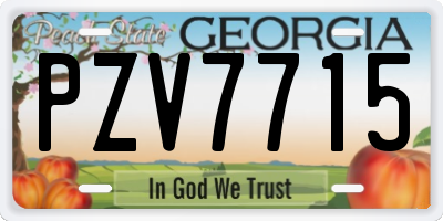 GA license plate PZV7715
